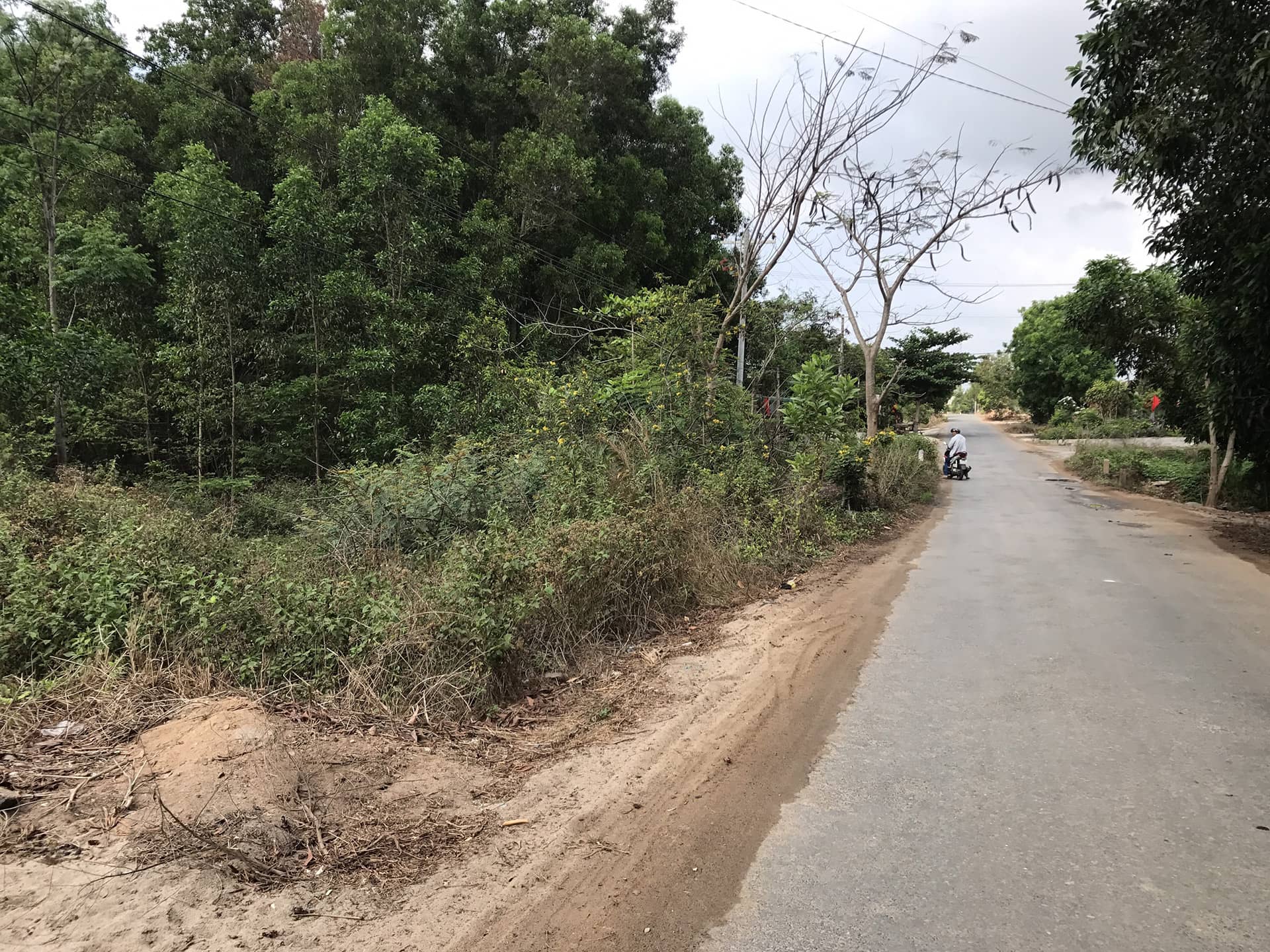 Đất nền mặt tiền Lý Nam Đế