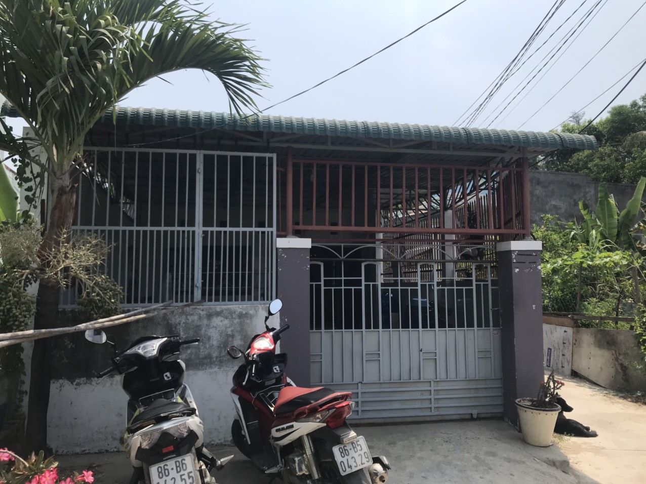 Bất động sản Lagi