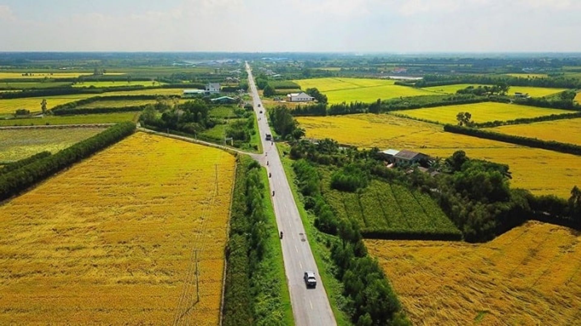 Kinh nghiệm mua đất nông nghiệp hạn chế rủi ro