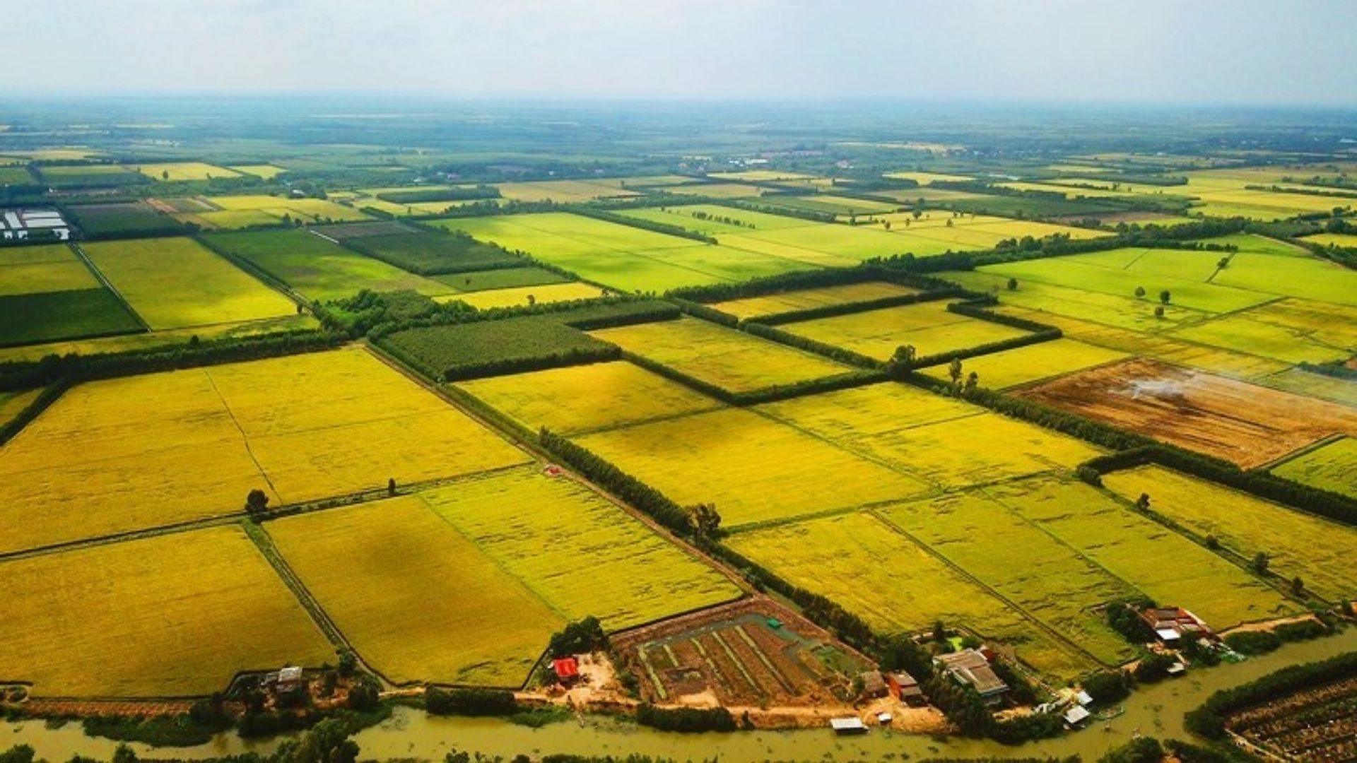 Những lợi ích khi mua đất nông nghiệp