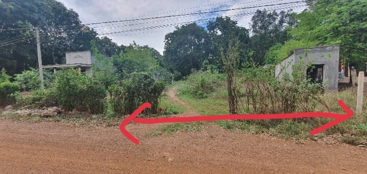 Đất nền Hàm Tân mặt tiền đường số 14 Tân Hà