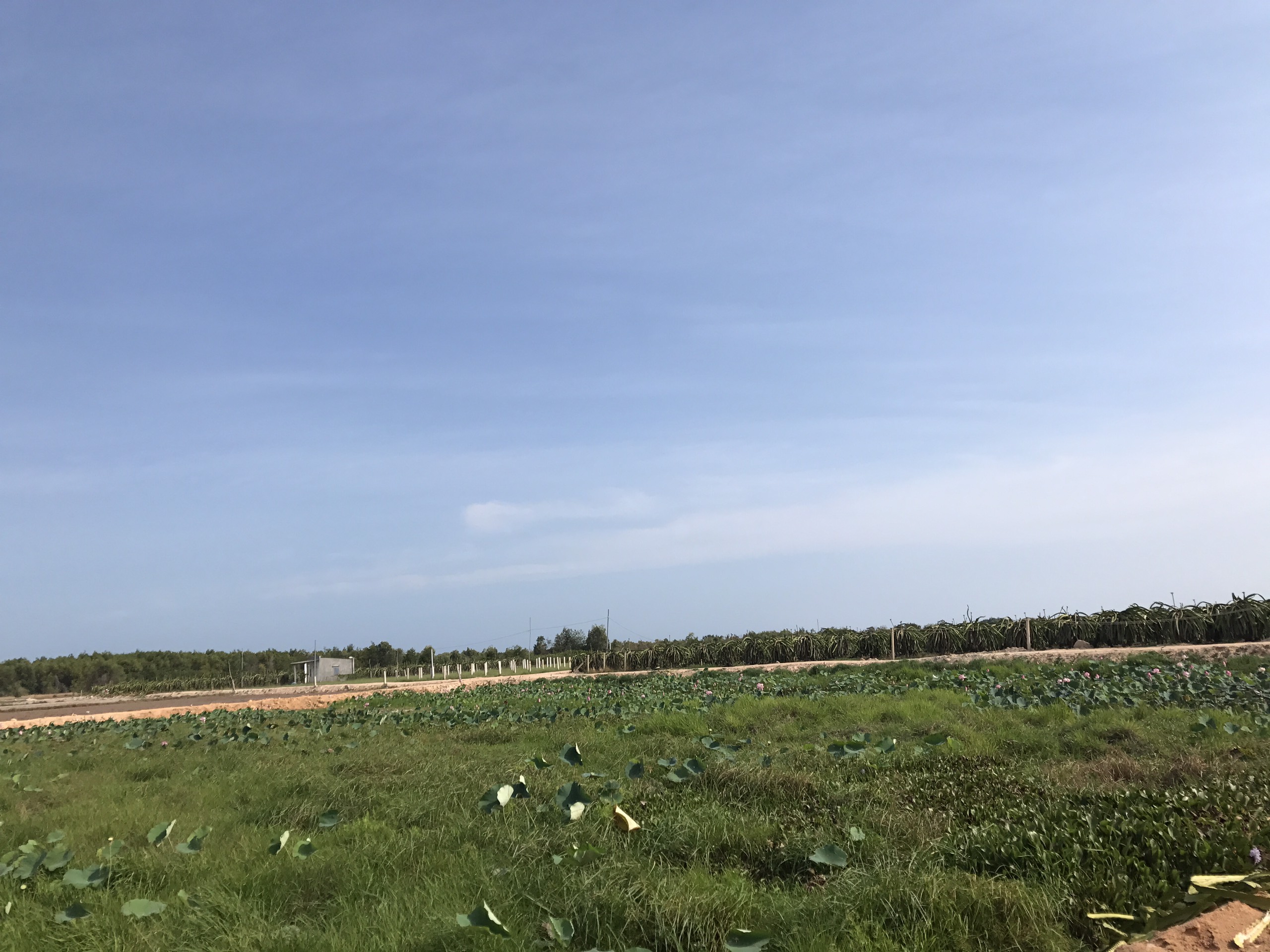 Đất mẫu Lagi - Đất sào đẹp vuông vắn 4 mặt tiền đường gần biển giá tốt nhất thị trường