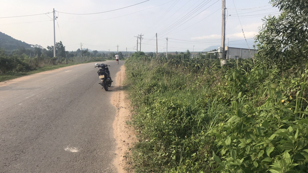 Đất mẫu Lagi - Đất mặt tiền Nguyễn Minh Châu sát công ty trầm hương cách biển 2km