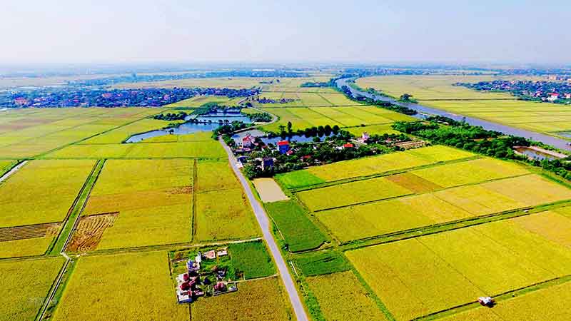 đất nông nghiệp là gì