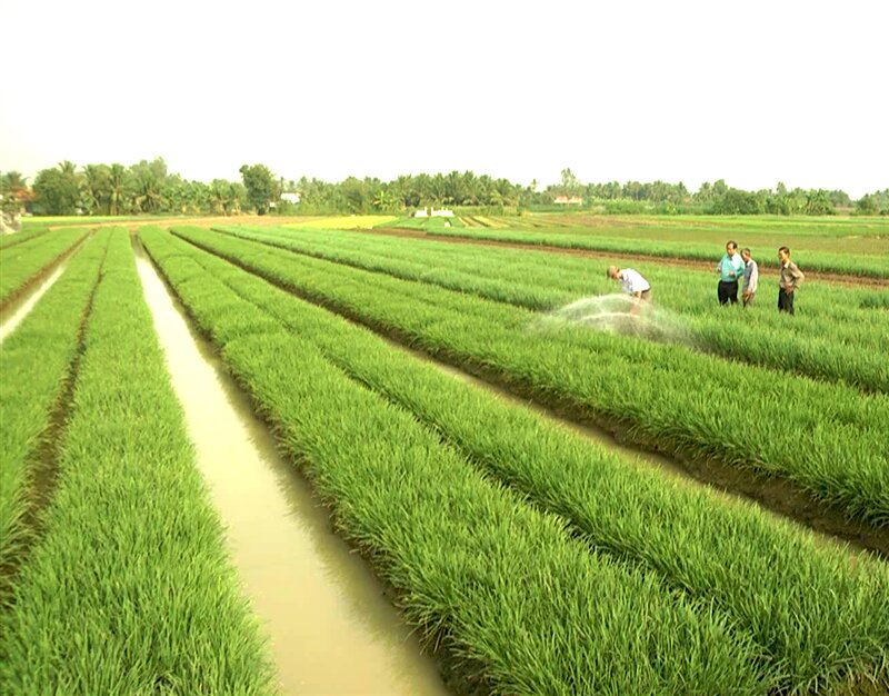 đất nông nghiệp là gì
