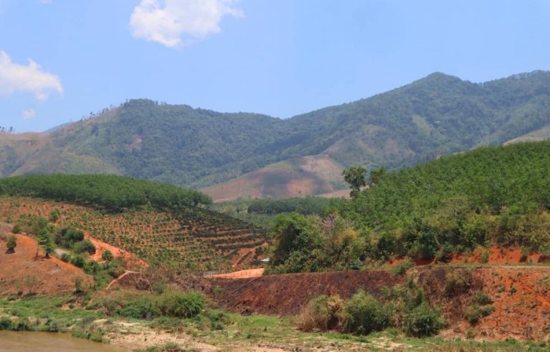 quản lý đất đai là gì