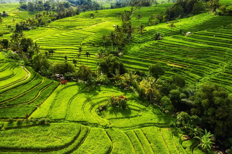 quản lý đất đai là gì
