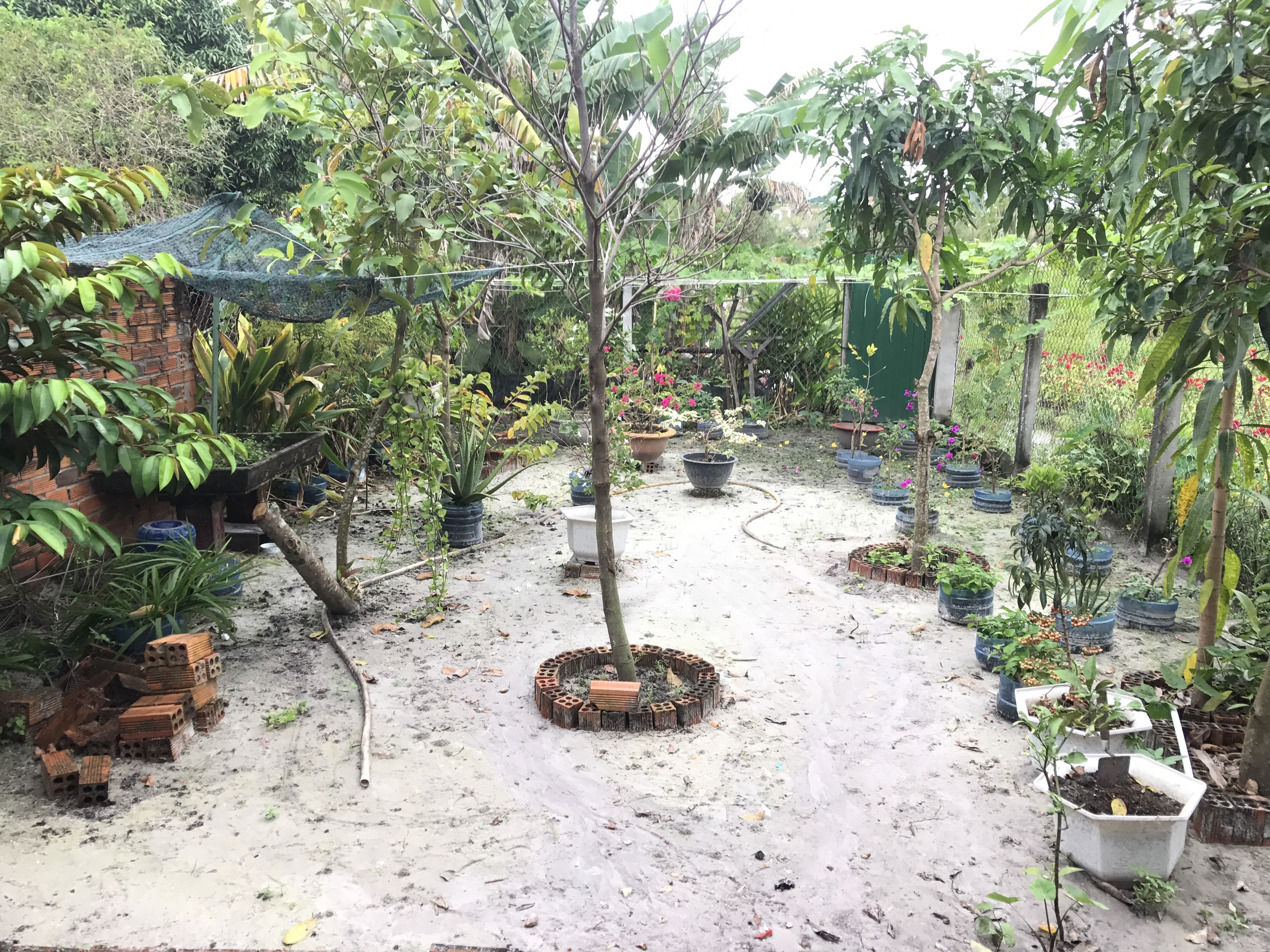 Nhà phố Lagi - Mặt tiền Nguyễn Chí Thanh