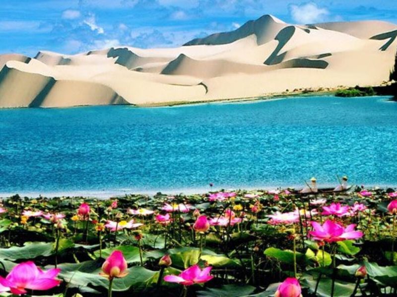 mũi né ở đâu