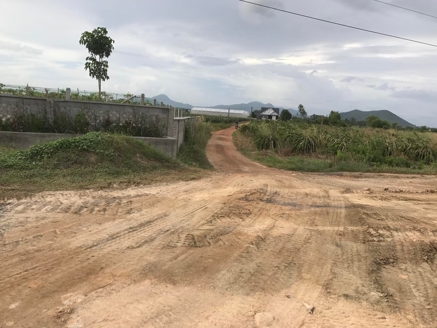 Đất mẫu Lagi - Đất 2 mặt tiền gần biển đường Hùng Vương