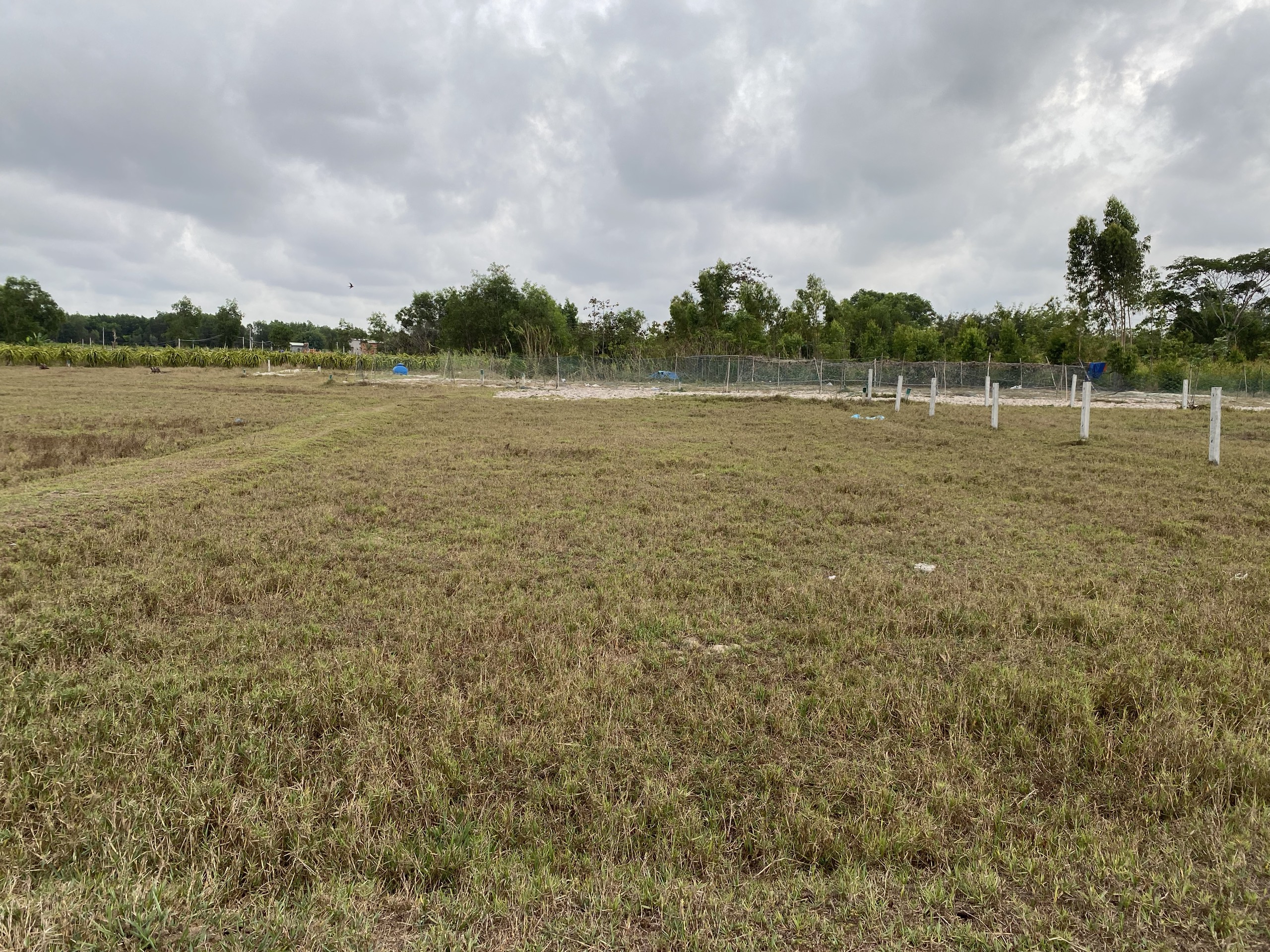 Đất mẫu Lagi - Bán đất sào lô 2 Lương Đình Của, Tân Bình.