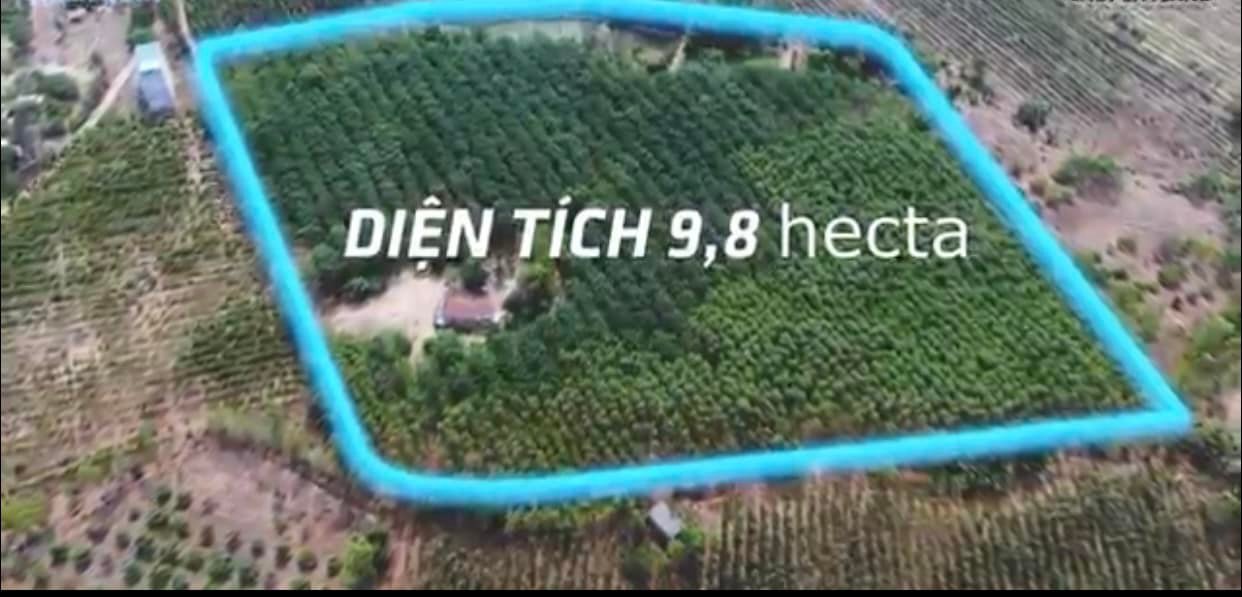 Đất mẫu Hàm Tân - Đất mẫu 3 mặt tiền có thể đầu tư du lịch nghỉ dưỡng
