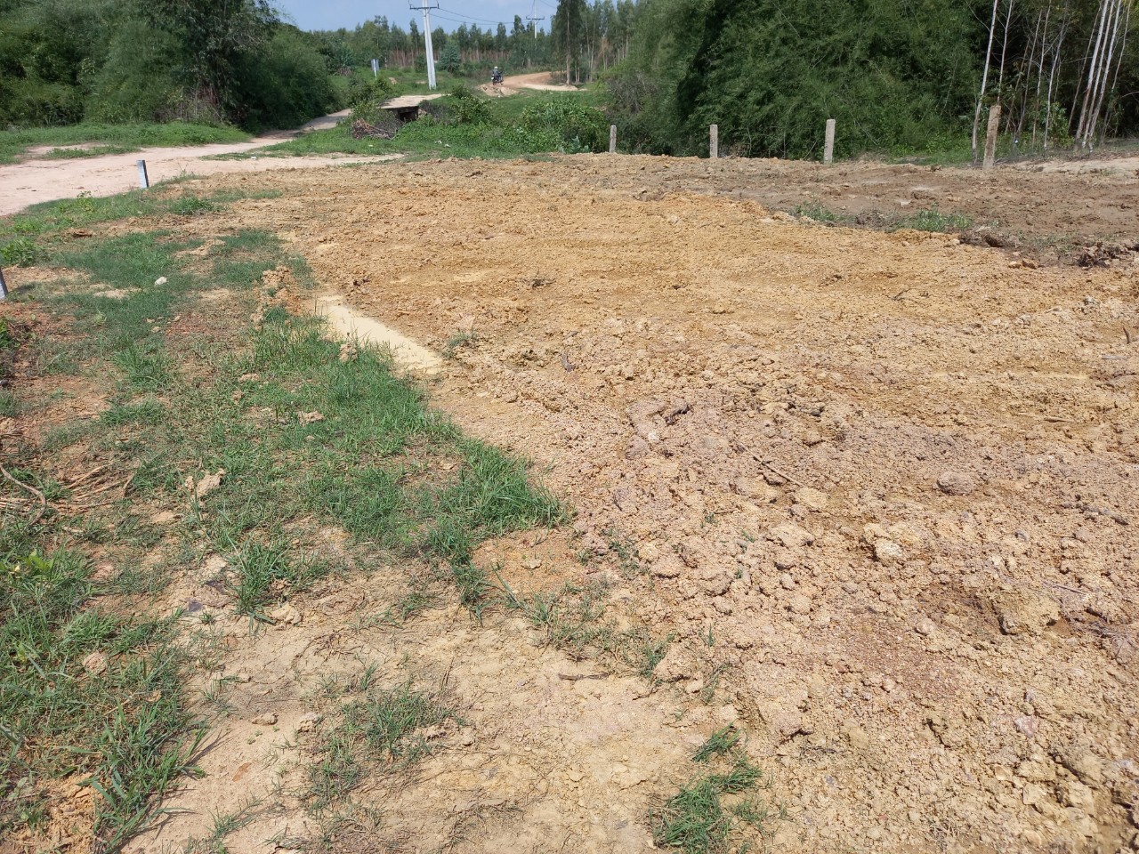 Đất mẫu Hàm Tân - Đất sào phủ hồng cách Ql55 khoảng 800m