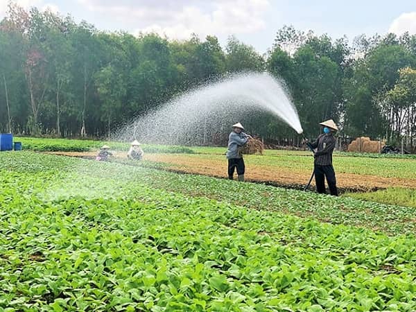 đất canh tác là gì