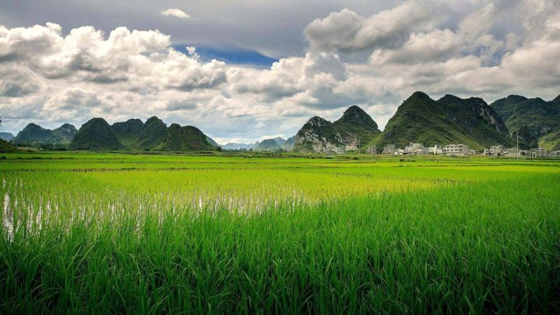 đất canh tác là gì