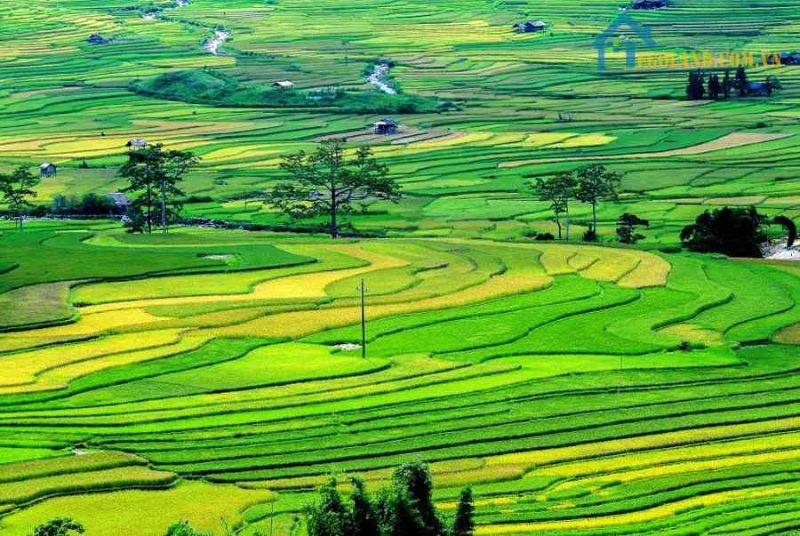đất canh tác là gì
