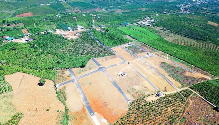 đất phân lô là gì
