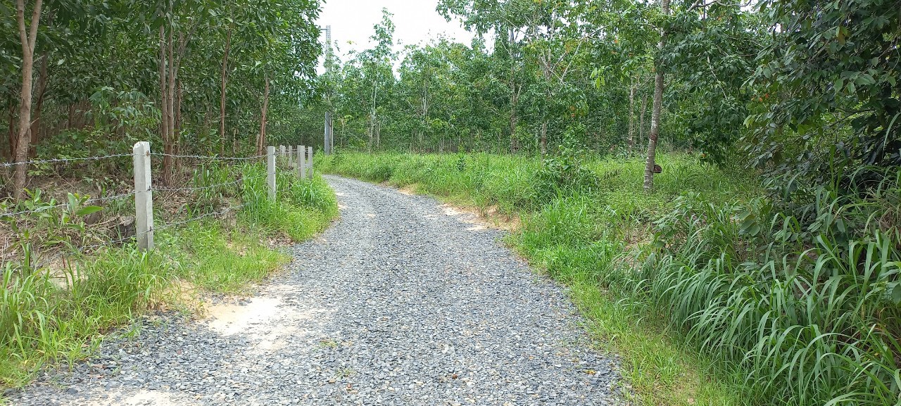 Đất mẫu Lagi - Đất sào đường DT719B, đường sắp lên nhựa