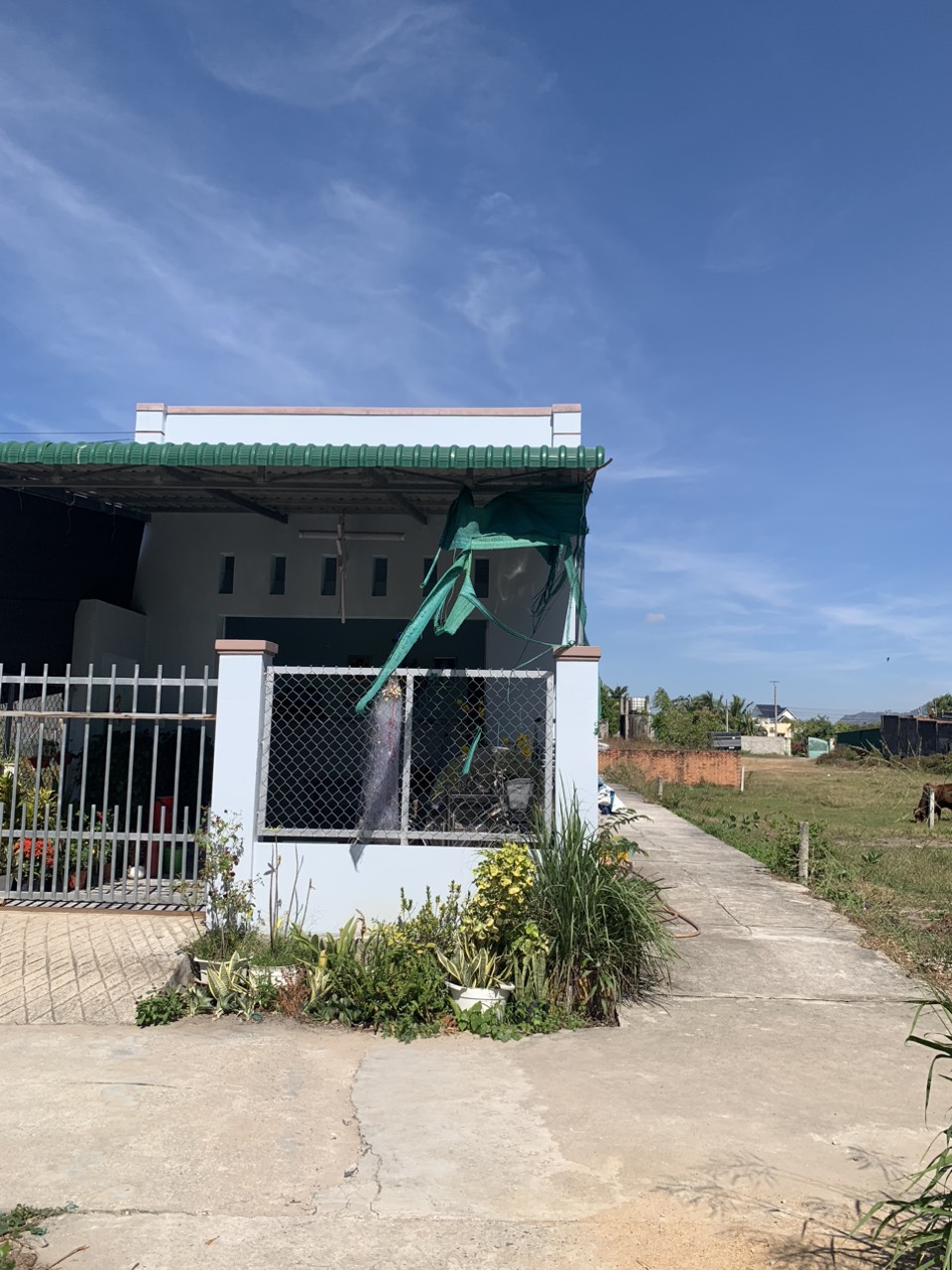 Nhà phố Lagi - Hẻm bê tông 115 Nguyễn Thông, full thổ cư