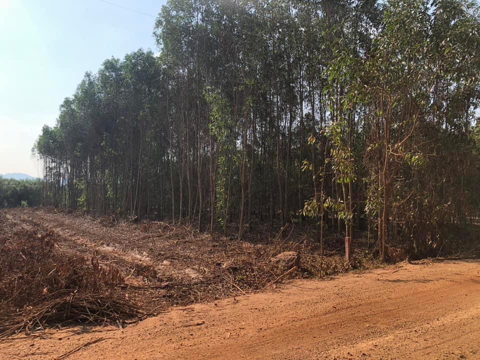 Đất mẫu Lagi - Mặt tiền đường Phạm Thế Hiển nối dài, Tân Bình.