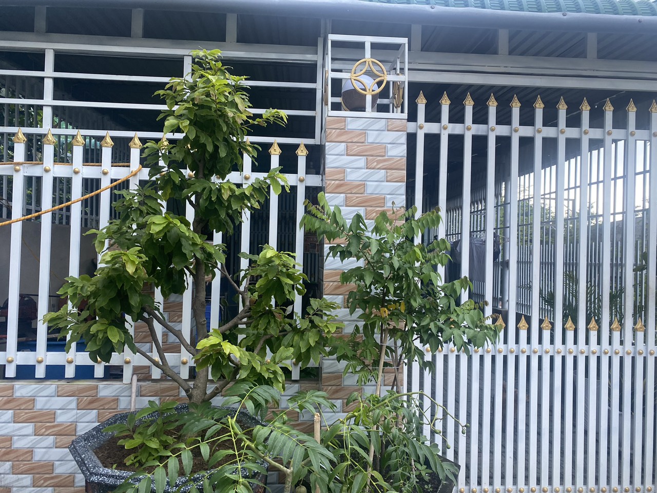 Nhà phố Lagi - Hẻm bê tông 4m đường Đinh Bộ Lĩnh, Lagi